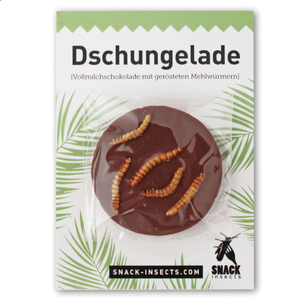 Snack-Insects Dschungelade Vollmilchtaler mit Mehlwürmern 10g