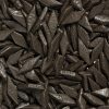 Salmix Salmiakpastillen N 200g