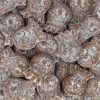 Bubs Bläckfiskar Saltade 200g