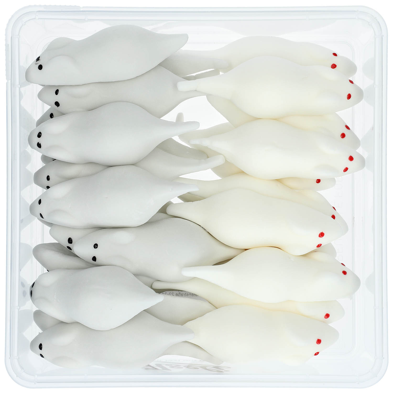 Aseli Riesenmäuse 330g