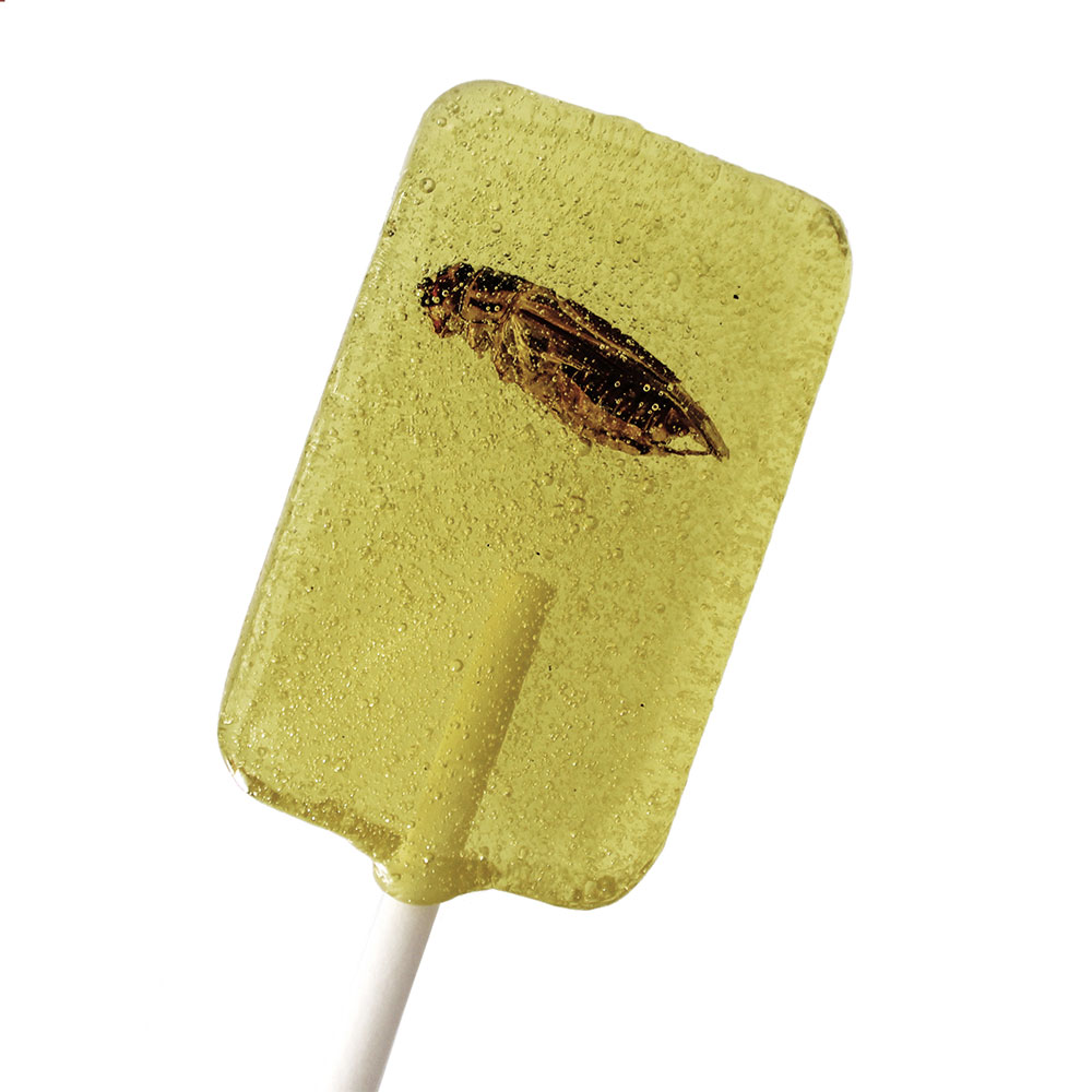 Snack-Insects Lolli Grille 20g