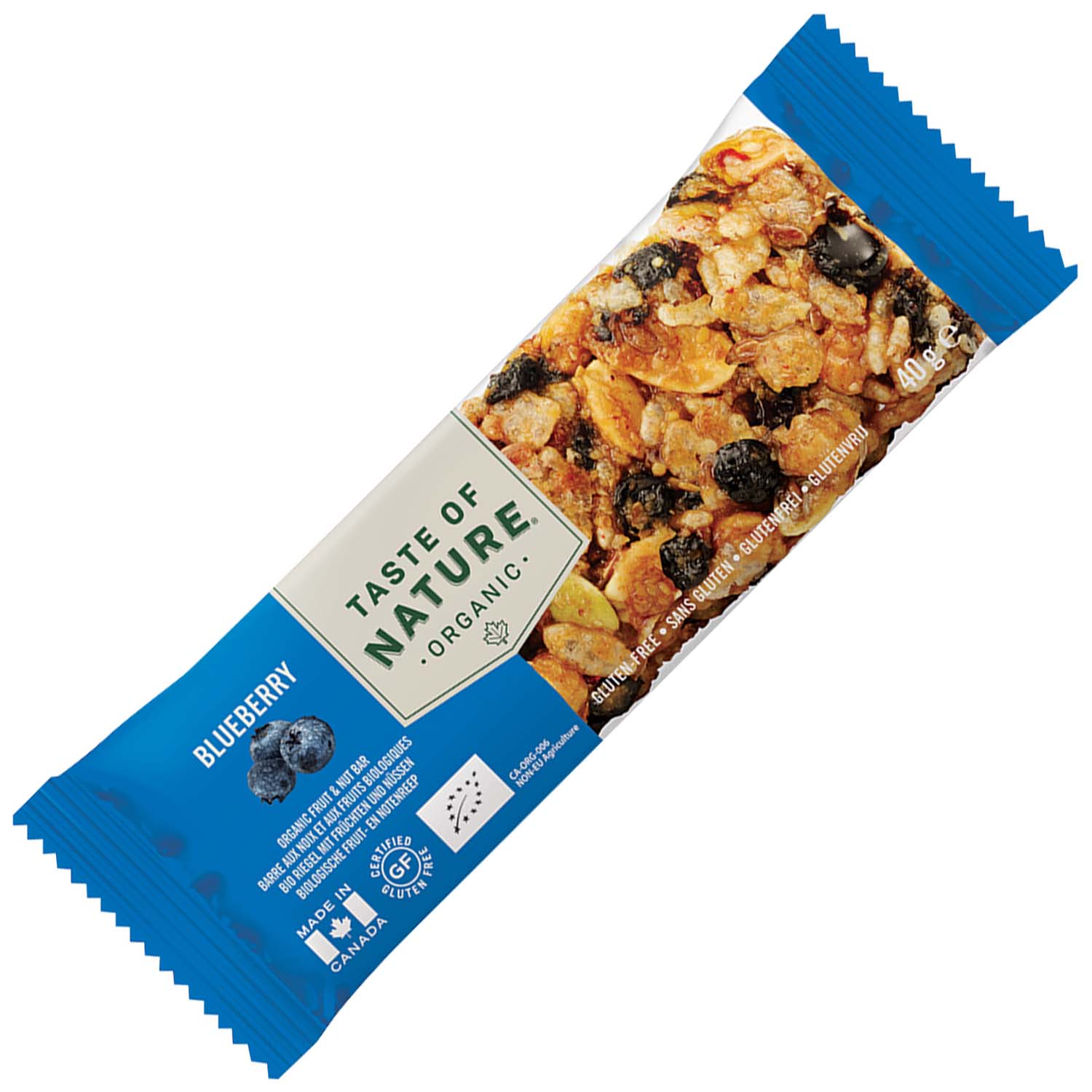 Taste of Nature Organic Blueberry Bio 40g